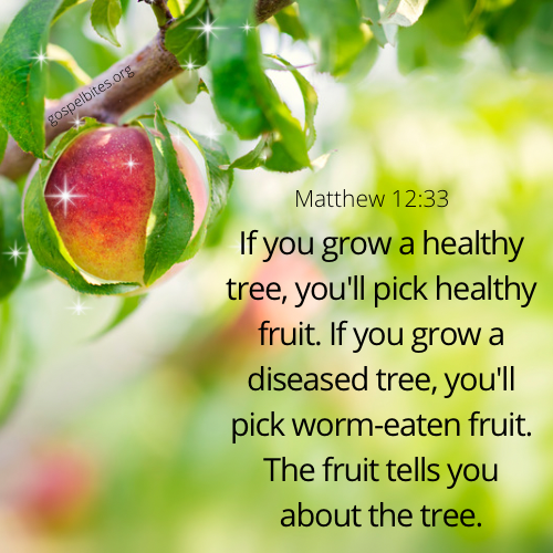 Mat 12:33 – Fruit trees