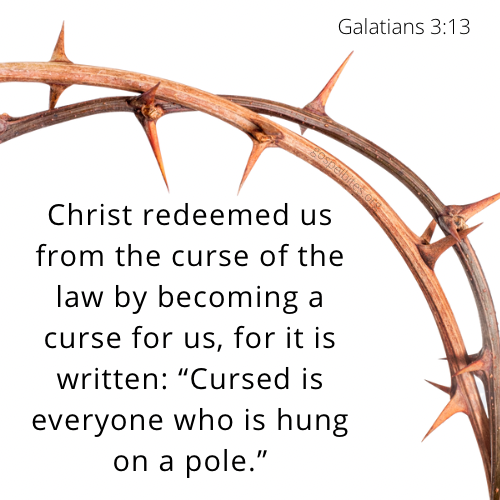 Gal 3:13 – Thorns