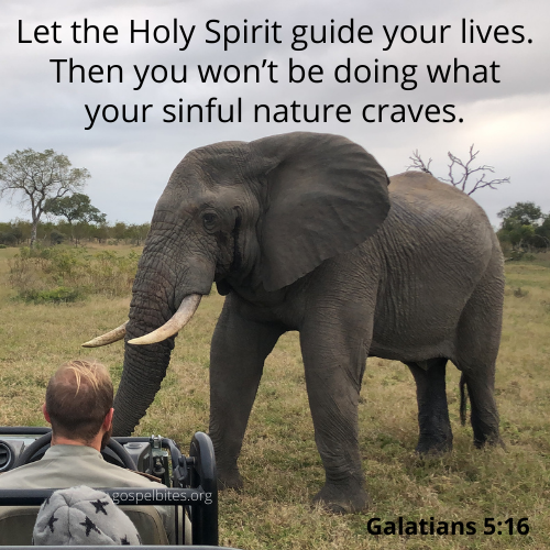 Gal 5:16 – The Guide