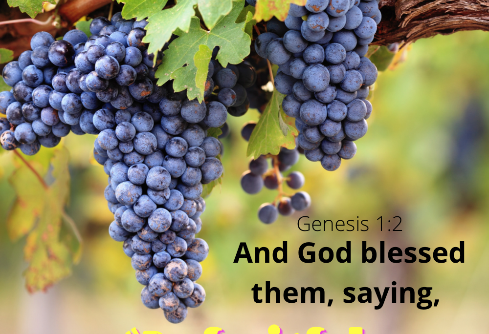 Gen 1:22 – Fruitful and multiply