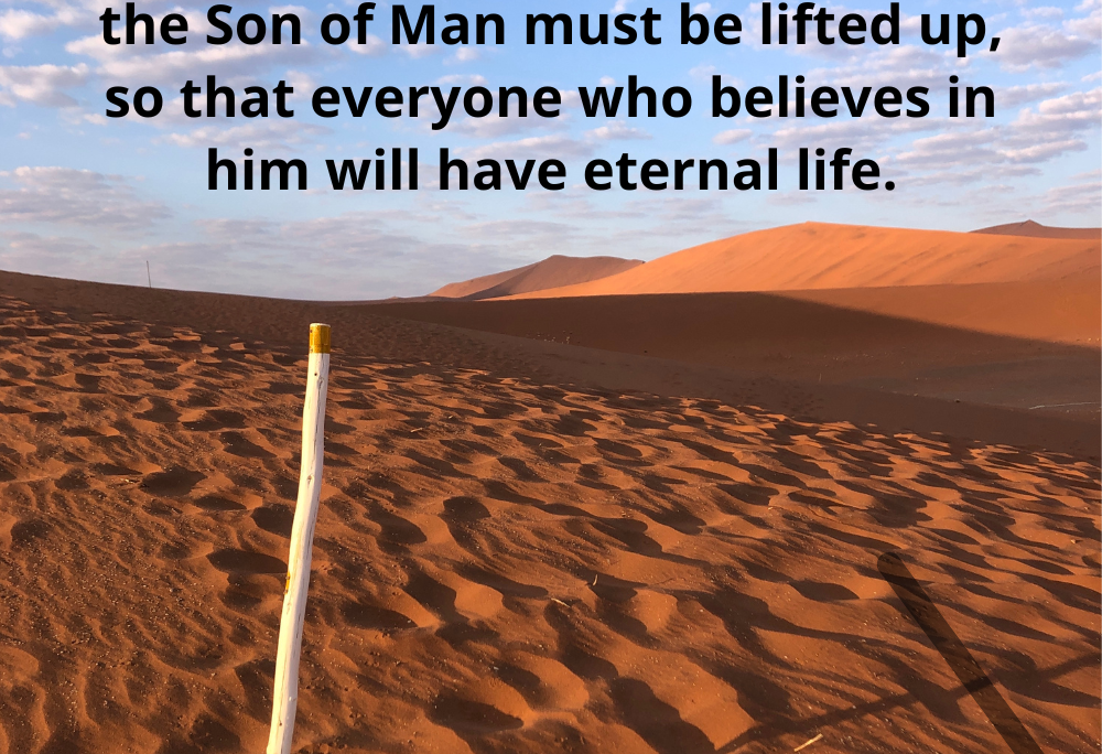 John 3:14-15 – The pole