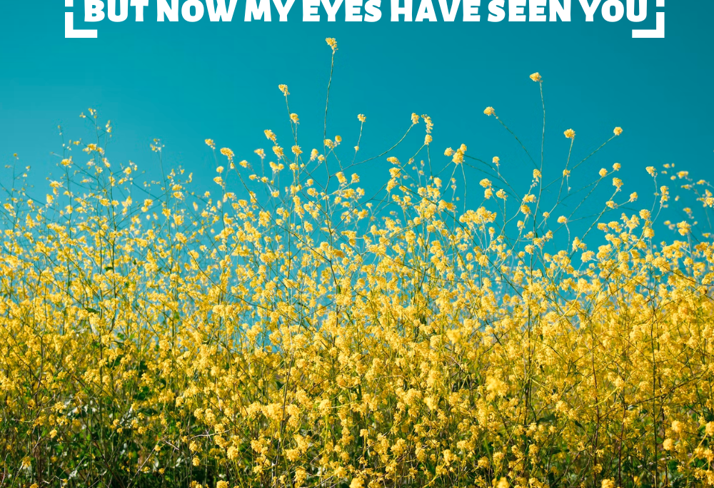 Job 42:5 – My eyes have seen