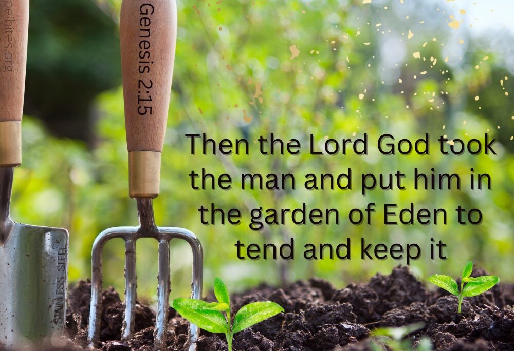 Gen 2:15 – Tend and keep the garden