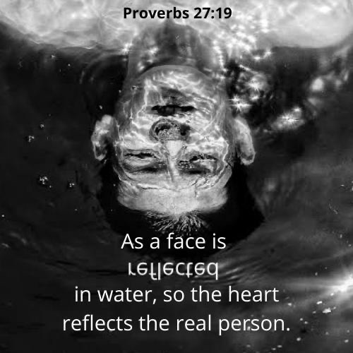 Pro 27:19 – Heart reflection