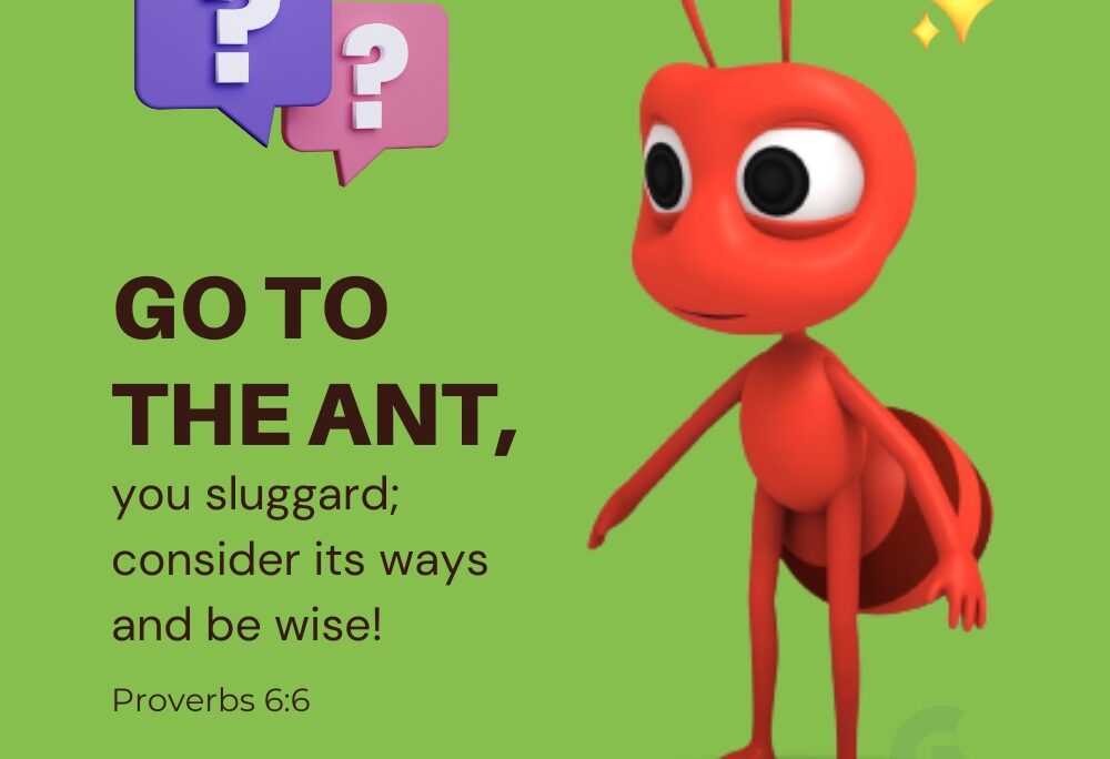 Pro 6v6 – The ant lesson