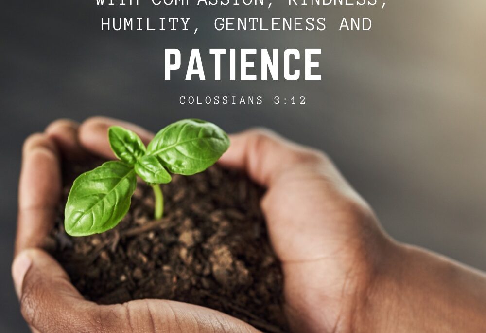 Col 3v12 – and Patience