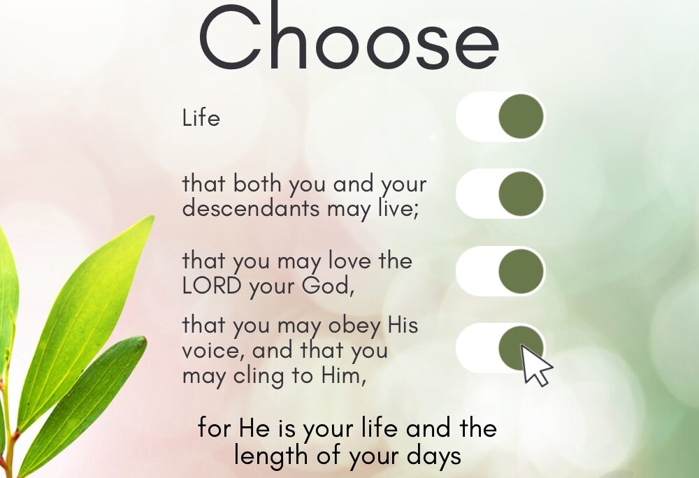 Deu 30v19-20 – Choose life