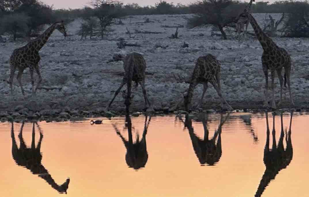 Joh 6v67-68 – The waterhole decision