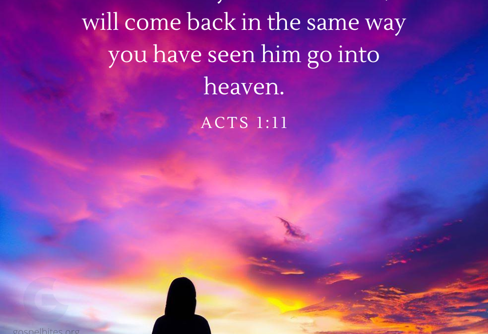 Acts 1v11 – Leaving the dogs