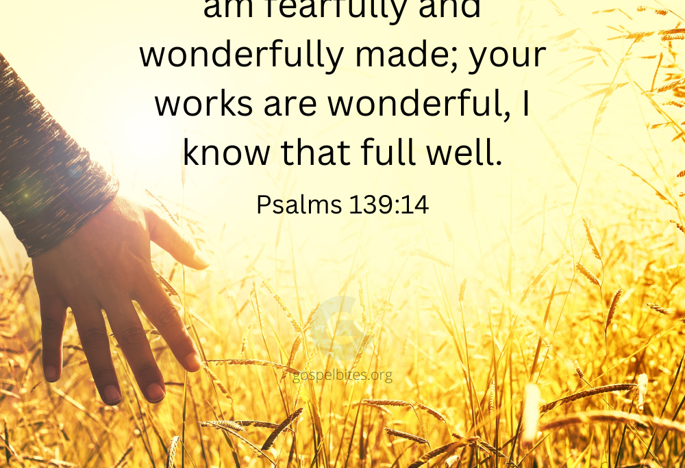 Psa 139v14 – Wonderfully made